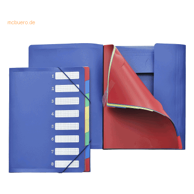 Foldersys Ordnungsmappe A4 PP 8 Fächer 3 Klappen blau Foldersys Ordnungsmappe A4 PP 8 Fächer 3 Klappen blau