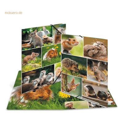 3 x HERMA Sammelmappe A4 Karton Nagetiere 3 x HERMA Sammelmappe A4 Karton Nagetiere
