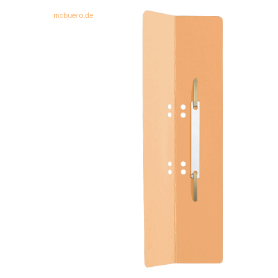 Leitz Ordner Zubehör - 60x305mm - Chamois Leitz Ordner Zubehör - 60x305mm - Chamois