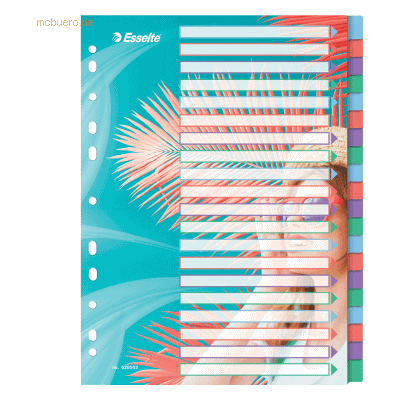 6 x Esselte Register Colour'Breeze A4 PP blanko 20-teilig transparent 6 x Esselte Register Colour'Breeze A4 PP blanko 20-teilig transparent