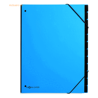 Pagna Pultordner neutral 12 Fächer hellblau Pagna Pultordner neutral 12 Fächer hellblau
