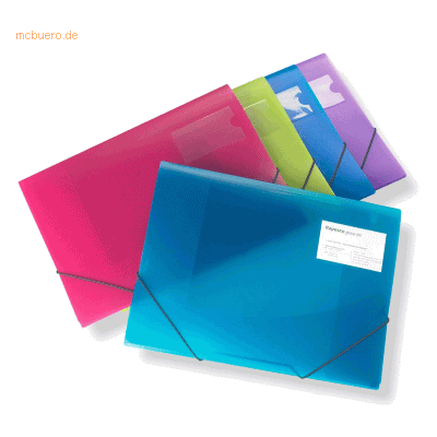 5 x Rapesco Eckspannmappe A4+ transparent farbig sortiert 5 x Rapesco Eckspannmappe A4+ transparent farbig sortiert