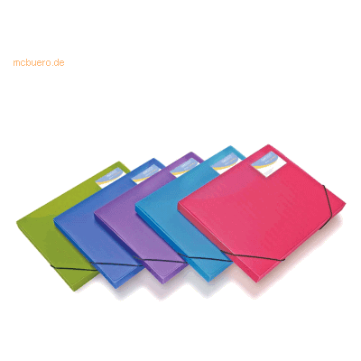 5 x Rapesco Sammelbox A4+ 25mm leuchtende Farben sortiert 5 x Rapesco Sammelbox A4+ 25mm leuchtende Farben sortiert