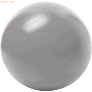 Togu Sitzball ABS 408651 kein Wegrollen 65cm Größe L silber Togu Sitzball ABS 408651 kein Wegrollen 65cm Größe L silber