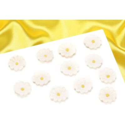 Culpitt Zuckerdekor Margeriten 28mm 12 Stück Culpitt Zuckerdekor Margeriten 28mm 12 Stück