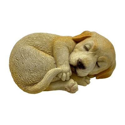 Signes Grimalt Statuetten Und Figuren Liegender Hund Einheitsgrösse Signes Grimalt Statuetten Und Figuren Liegender Hund Einheitsgrösse