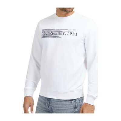 Guess Kapuzensweaters Sweat Eu S;Eu Xl Male Guess Kapuzensweaters Sweat Eu S;Eu Xl Male