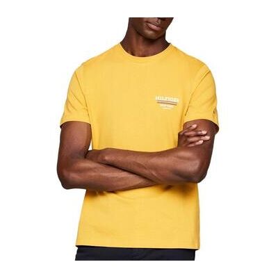 Tommy Hilfiger T-Shirts & Poloshirts Global Eu S Male Tommy Hilfiger T-Shirts & Poloshirts Global Eu S Male