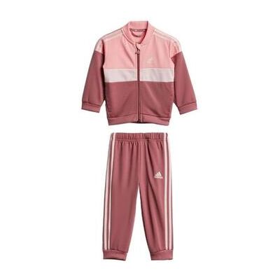 Adidas Jogginganzüge Iv7380 6 / 9 Monate;9 / 12 Monate Female Adidas Jogginganzüge Iv7380 6 / 9 Monate;9 / 12 Monate Female