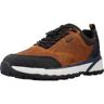 Geox  Sneaker U Sterrato B Abx 42 Male