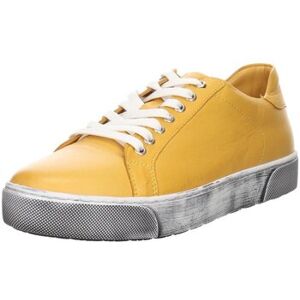 Andrea Conti Halbschuhe Schnuerschuhe 88296000-116 41;44 Male Andrea Conti Halbschuhe Schnuerschuhe 88296000-116 41;44 Male