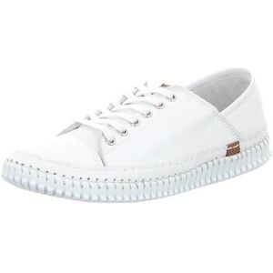 Andrea Conti Damenschuhe Schnuerschuhe 0027121 36;37;38;39;40;41;42 Female Andrea Conti Damenschuhe Schnuerschuhe 0027121 36;37;38;39;40;41;42 Female