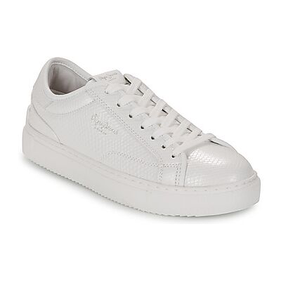Pepe Jeans Sneaker Adams Snaky 37;39;40;41 Female Pepe Jeans Sneaker Adams Snaky 37;39;40;41 Female