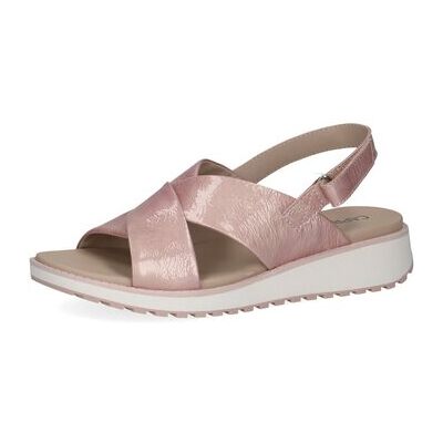 Caprice Keilabsatzsandalen Sandaletten Sportliche Sandalette 9-28703-42 521 39 Caprice Keilabsatzsandalen Sandaletten Sportliche Sandalette 9-28703-42 521 39