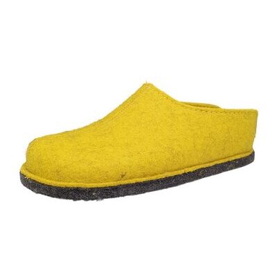 Haflinger Hausschuhe Flair Smily 311013 37;41;42 Female Haflinger Hausschuhe Flair Smily 311013 37;41;42 Female