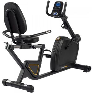 Darwin Fitness Darwin Recumbent Bike RB40