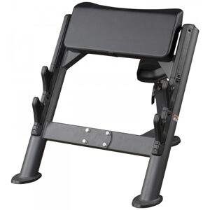 Taurus Elite Preacher Curl   Curl Pult