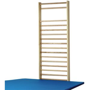 Sport Langer Sprossenwand mit ovalen Sprossen 230 x 100 cm