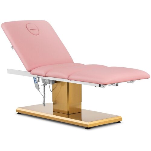 physa Elektrische Kosmetikliege - 3 Motoren - 300 W - 190 x 65 x 60 - 76 cm - 200 kg - rosa/golden PHYSA VITERBO POWDER PINK