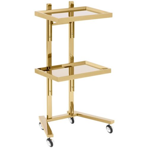 physa Kosmetikwagen - 2 Ablagen - 40 x 85 x 48 cm - golden PHYSA-CT-1