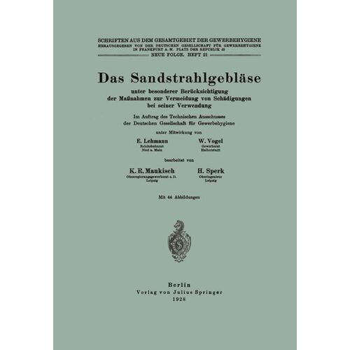 Springer Berlin Das Sandstrahlgebläse -24.4 x 17.0 x 0.4 cm