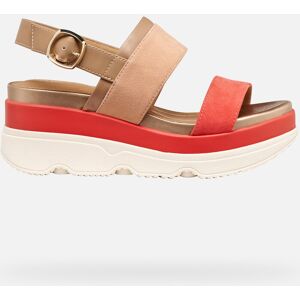 GEOX Schuhe Gardenia Dame Rosé-beige/hellbraun female 38,5 GEOX Schuhe Gardenia Dame Rosé-beige/hellbraun female 38,5