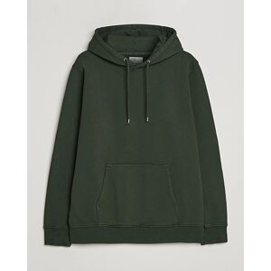 Colorful Standard Classic Organic Hood Hunter Green