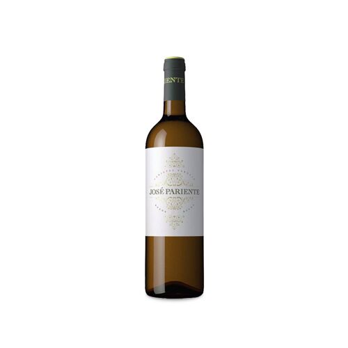 José Pariente Verdejo Magnum 2022 –