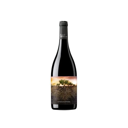 Proyecto Garnachas de España La Garnacha Olvidada de Aragón 2021 – 75cl