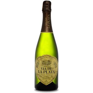 Vía de la Plata Chardonnay Brut Nature - Cava Vía de la Plata Chardonnay Brut Nature - Cava