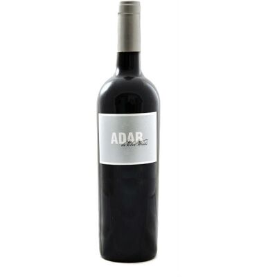 Elvi Wines Adar Kosher 2019 - Wein Elvi Wines Adar Kosher 2019 - Wein