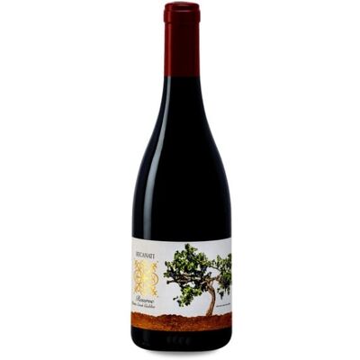 Recanati Petit Syrah Reserva 2021 - 75cl Recanati Petit Syrah Reserva 2021 - 75cl