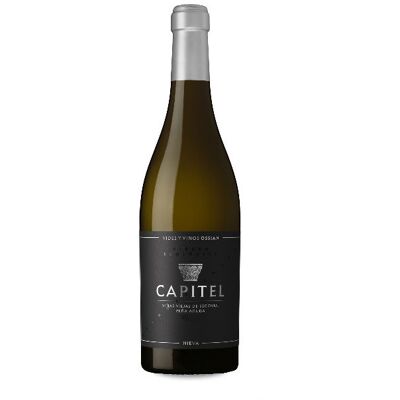 Ossian Capitel Magnum 2022 - Ossian Capitel Magnum 2022 -