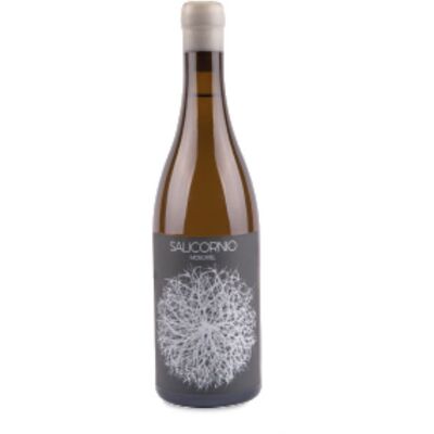 Casa Balaguer - Vinessens Salicornio Moscatel 2022 - Wein Casa Balaguer - Vinessens Salicornio Moscatel 2022 - Wein