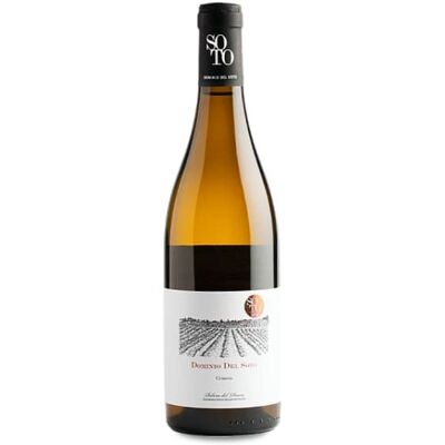 Dominio del Soto Crianza Albillo 2022 - Weiß - Bio Dominio del Soto Crianza Albillo 2022 - Weiß - Bio