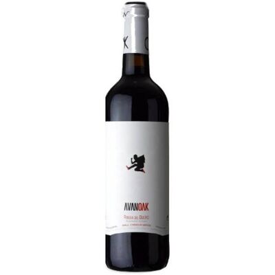 Bodegas y Viñedos Juan Manuel Burgos Avan Oak 2021 - Rotwein Bodegas y Viñedos Juan Manuel Burgos Avan Oak 2021 - Rotwein