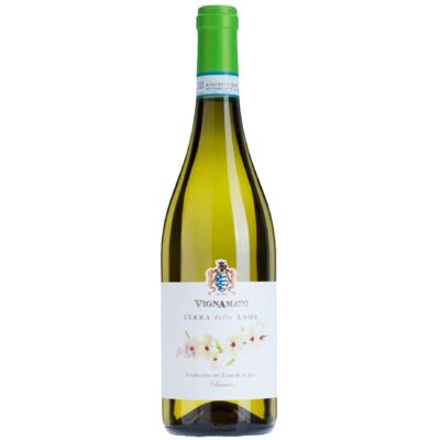 Vignamato Terra delle Lame Verdicchio dei Castelli di Jesi Classico 2025 - 75cl Vignamato Terra delle Lame Verdicchio dei Castelli di Jesi Classico 2025 - 75cl