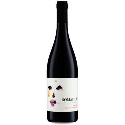 Podere Il Castellaccio Somatico 2023 - 75cl Podere Il Castellaccio Somatico 2023 - 75cl