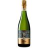 Mestres Clos Damiana Brut Nature Gran Reserva 2009 - 75cl