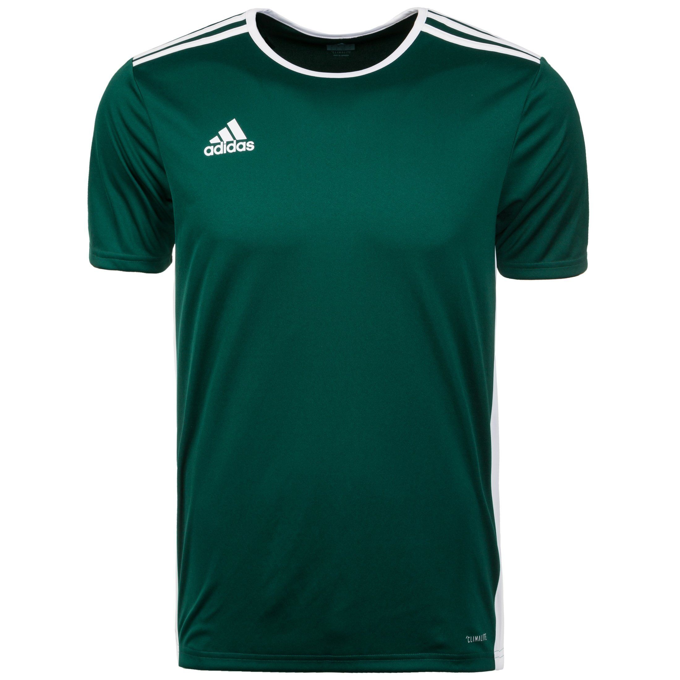 Adidas Performance Fußballtrikot »Entrada 18«, dunkelgrün-weiß