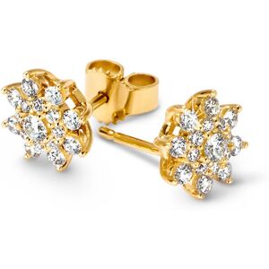 Tchibo - 585 Gold-Ohrstecker mit 34 Brillanten - gold - gold Tchibo - 585 Gold-Ohrstecker mit 34 Brillanten - gold - gold