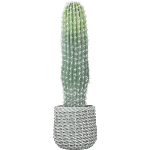HOMCOM Künstlicher Kaktus 66 cm, dekorative Kunstpflanze mit Topf für Innendekoration, Zuhause, Büro, Wohnzimmer, Grün Aosom