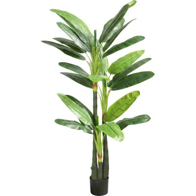 HOMCOM Künstlicher Bananenbaum 180 cm im Topf, künstliche Pflanze mit 18 Blättern zur Wohn- oder Bürodekoration, Grün Aosom HOMCOM Künstlicher Bananenbaum 180 cm im Topf, künstliche Pflanze mit 18 Blättern zur Wohn- oder Bürodekoration, Grün Aosom