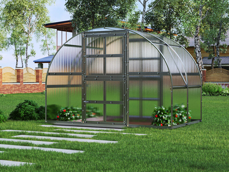 Dancover Gewächshaus Polycarbonat TITAN Arch 320, 6m², 3x2m, Silber