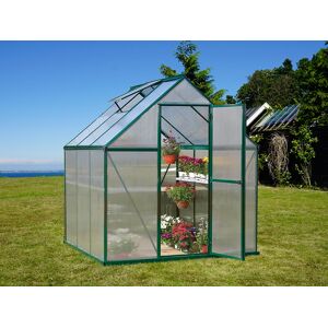 Dancover Gewächshaus Polycarbonat 3,4m², Palram/Canopia, 1,85x1,86x2,08m, grün