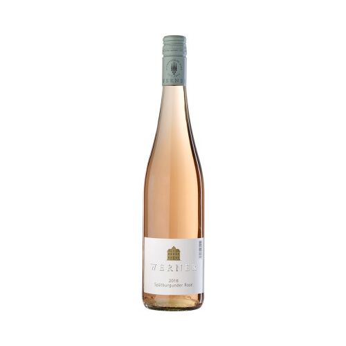 Weingut Werner Werner (Mosel) 2023 Spätburgunder Rose trocken