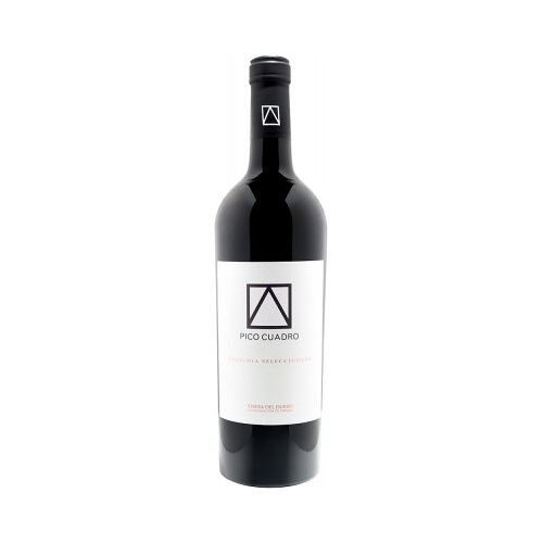 Pico Cuadro 2019 Vendimia Seleccionada Ribera del Duero DO trocken