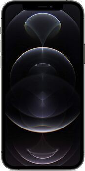Apple Wie neu: iPhone 12 Pro   256 GB   graphit