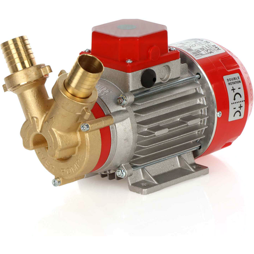 Rover Pompe Rover Marina 30 Elektrische Umfüllpumpe aus Bronze 24 V