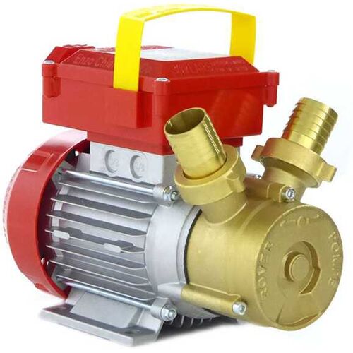 Rover Pompe Rover 30 CE Elektrische Umfüllpumpe aus Bronze 230 V